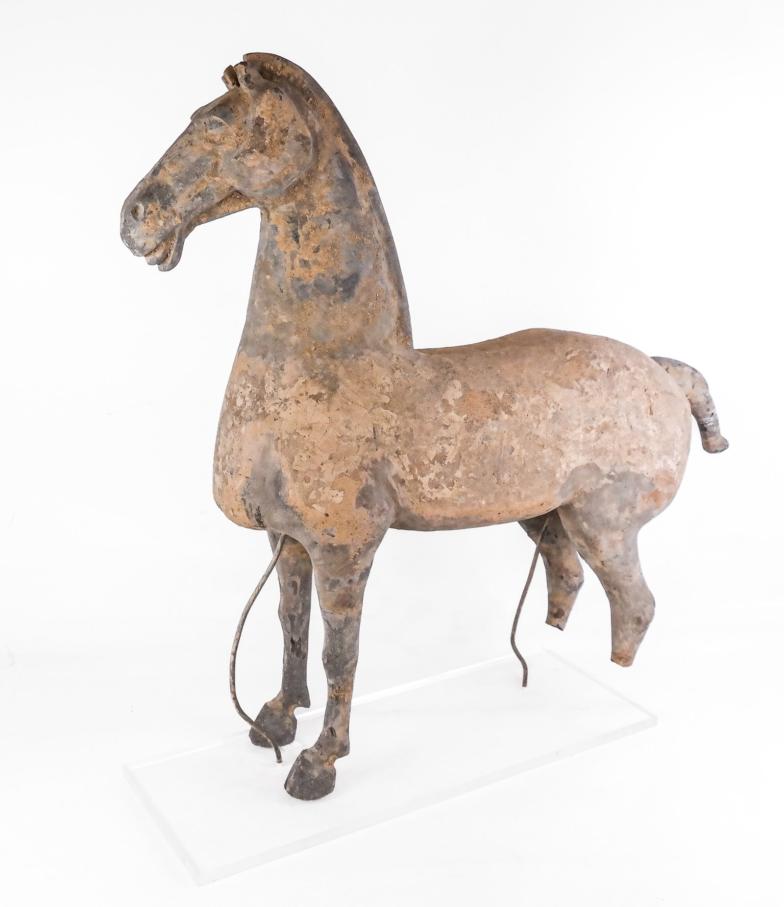 Chinese Terra Cotta Horse after the Tang: Chinese terra cotta horse, 19th century, after the Tang style, on a lucite and metal base. [Excluding base: 27" H x 29" W x 8" D]. Condition is good to fair with wear and a break to tail and to rear l