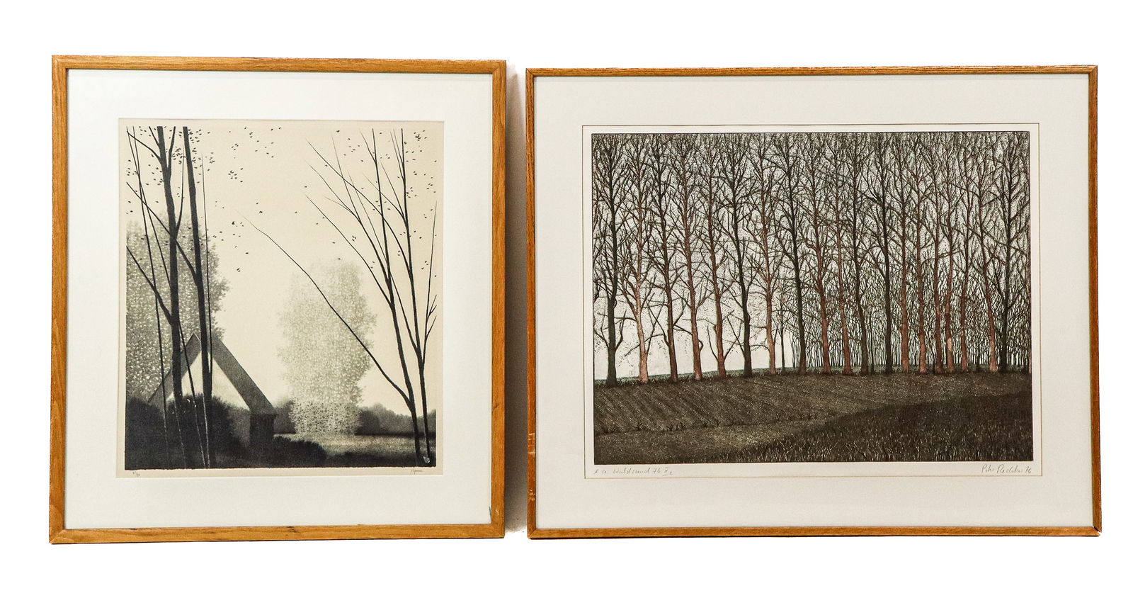 KIPNISS & REDEKER: 2 Landscape Prints (1 of 19)