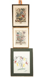 Picasso and Two Botanical Prints