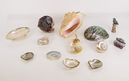 Assorted Shells and Geodes, 13