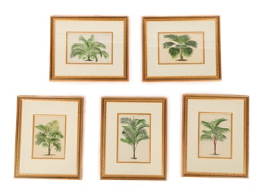 5 Botanical Prints from L'Illustration Horticole