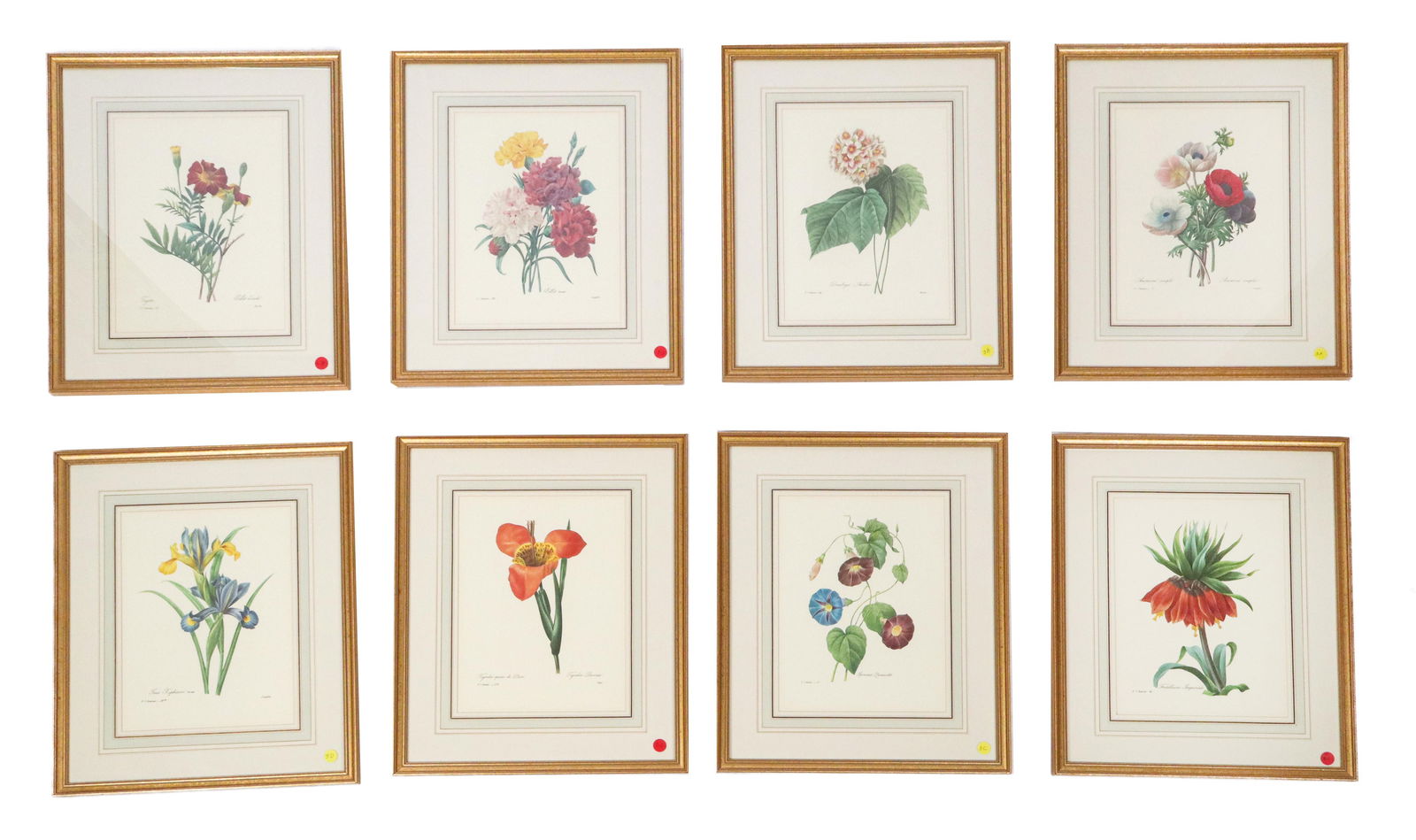 8 Horticulture Prints after P.J. Redoute (1 of 18)