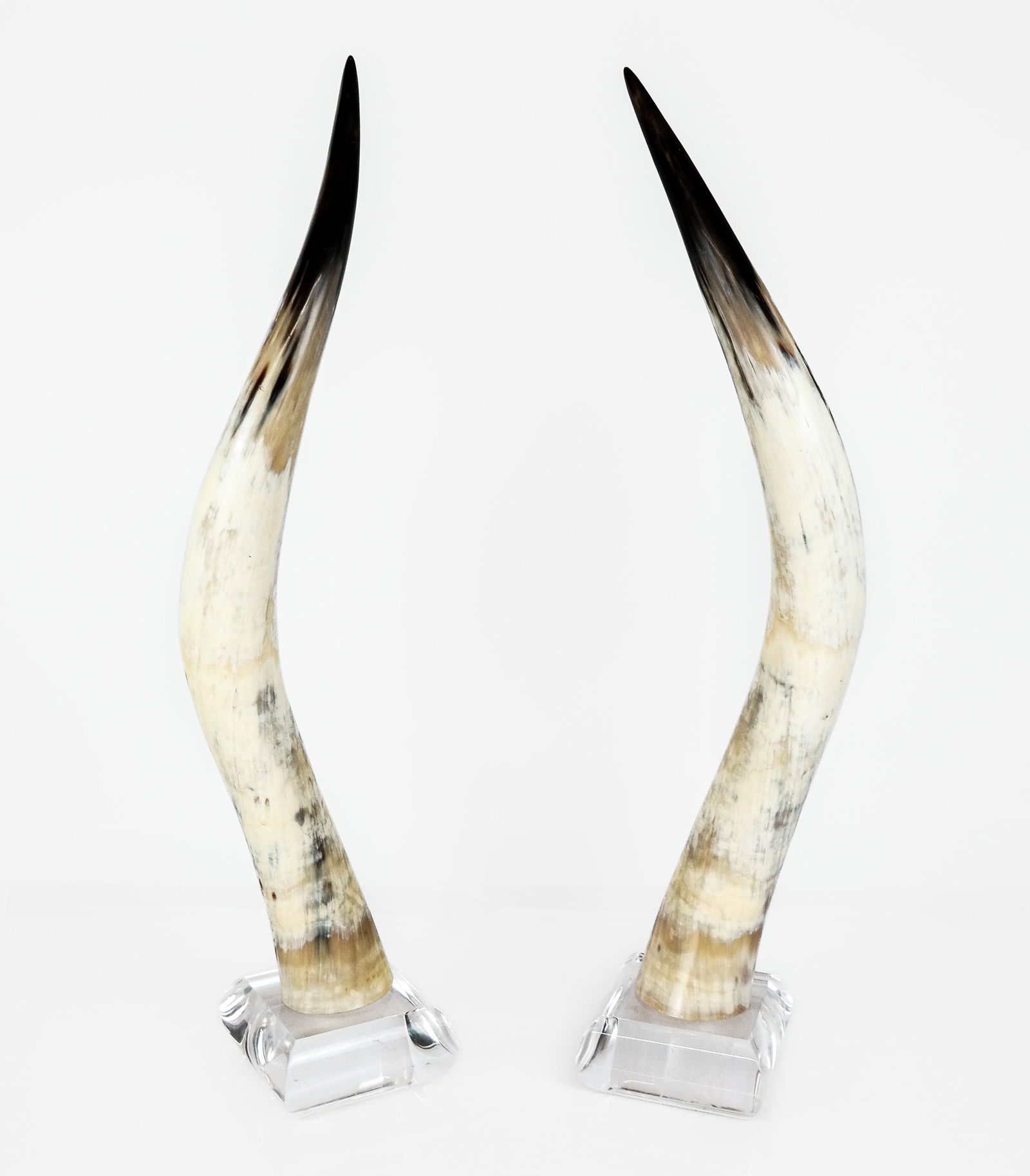Pair of Horn and Lucite Sculptures: Pair of horn and lucite mounted sculptures, unmarked. [30" H x 6.5" Square]. Condition is good with minor scratching to lucite and cracks to each horn at lower.
