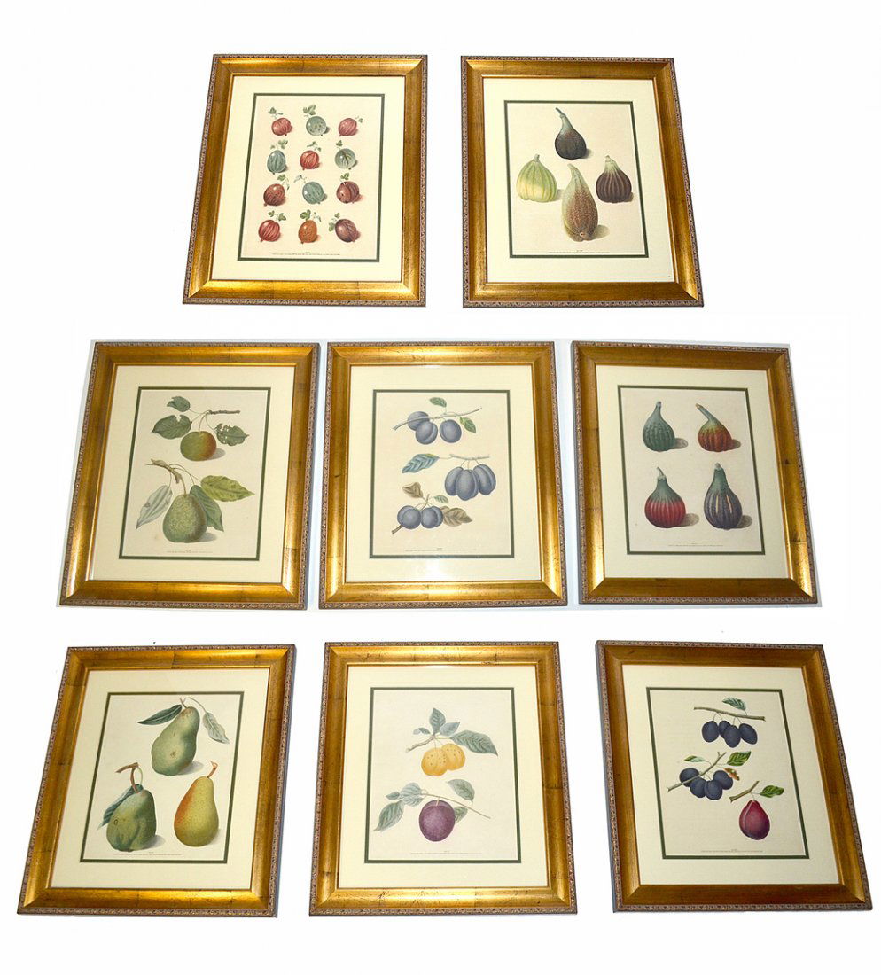 George Brookshaw, 8 Stipple Engravings: "Pomona Britannica, Ora Collection of the Most Esteemed Fruits at Present Cultivated in Great Britain: Eight Plates". 8 engravings in colors with additional hand-coloring, 1817, on wove papers. Condit