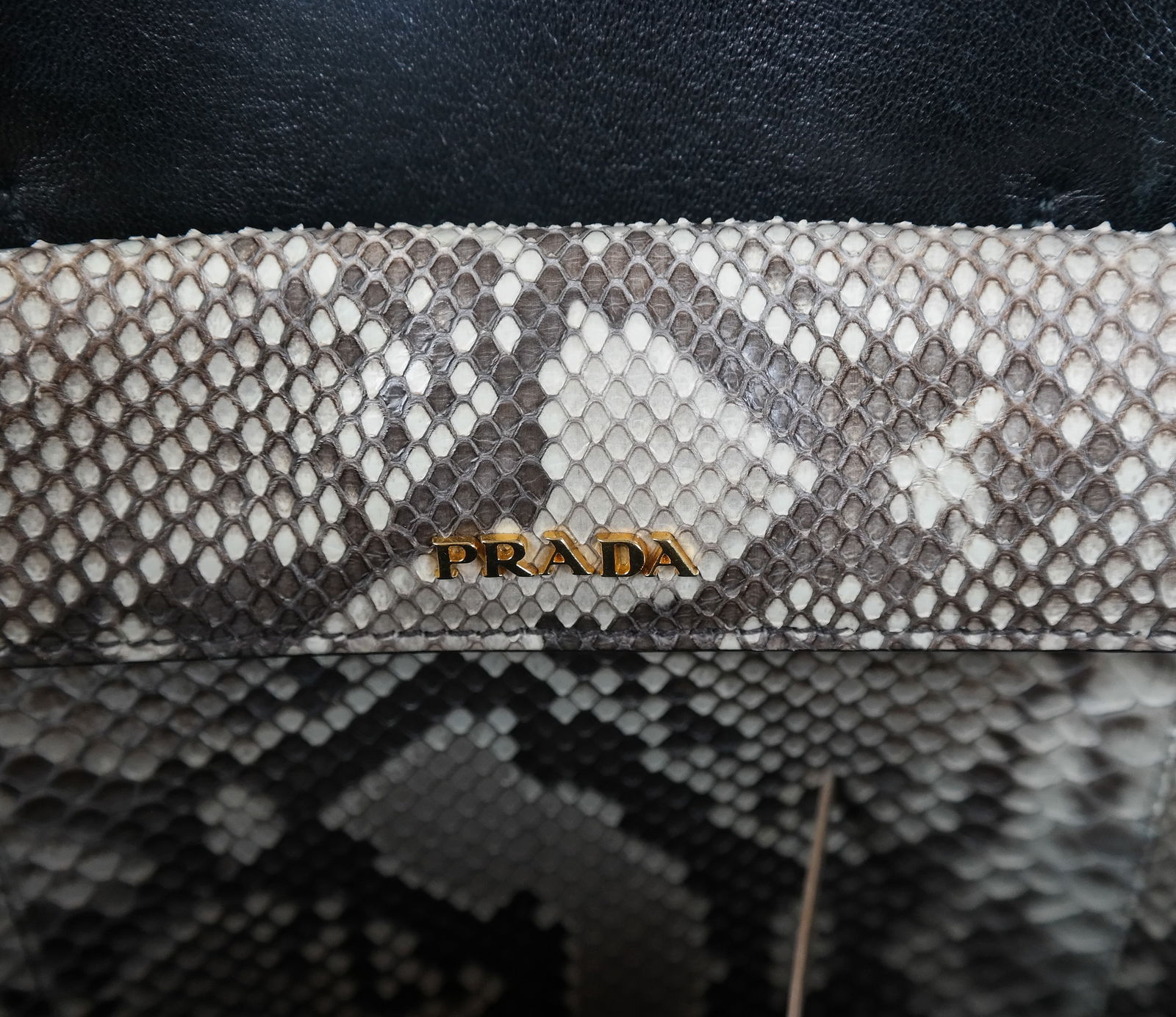 Prada Python Snakeskin Double Bag in Roccio - 7