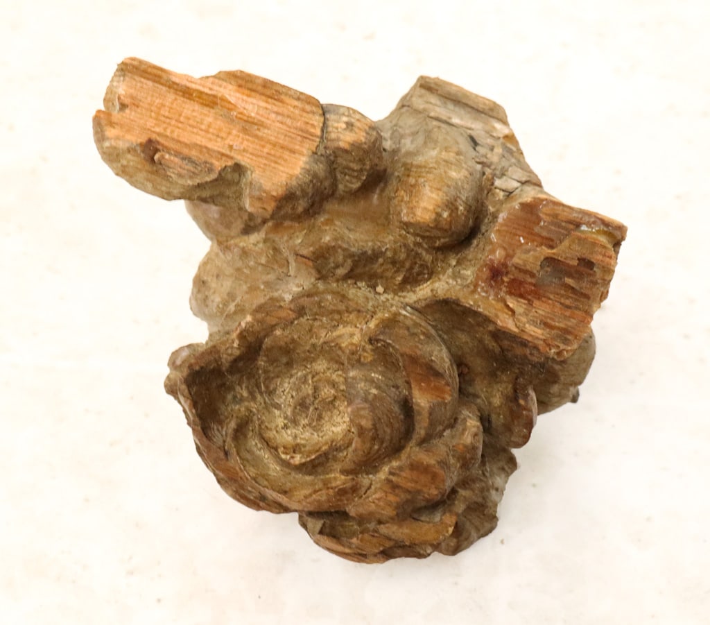 Rococo Carved Wood Applique with Putti - 10