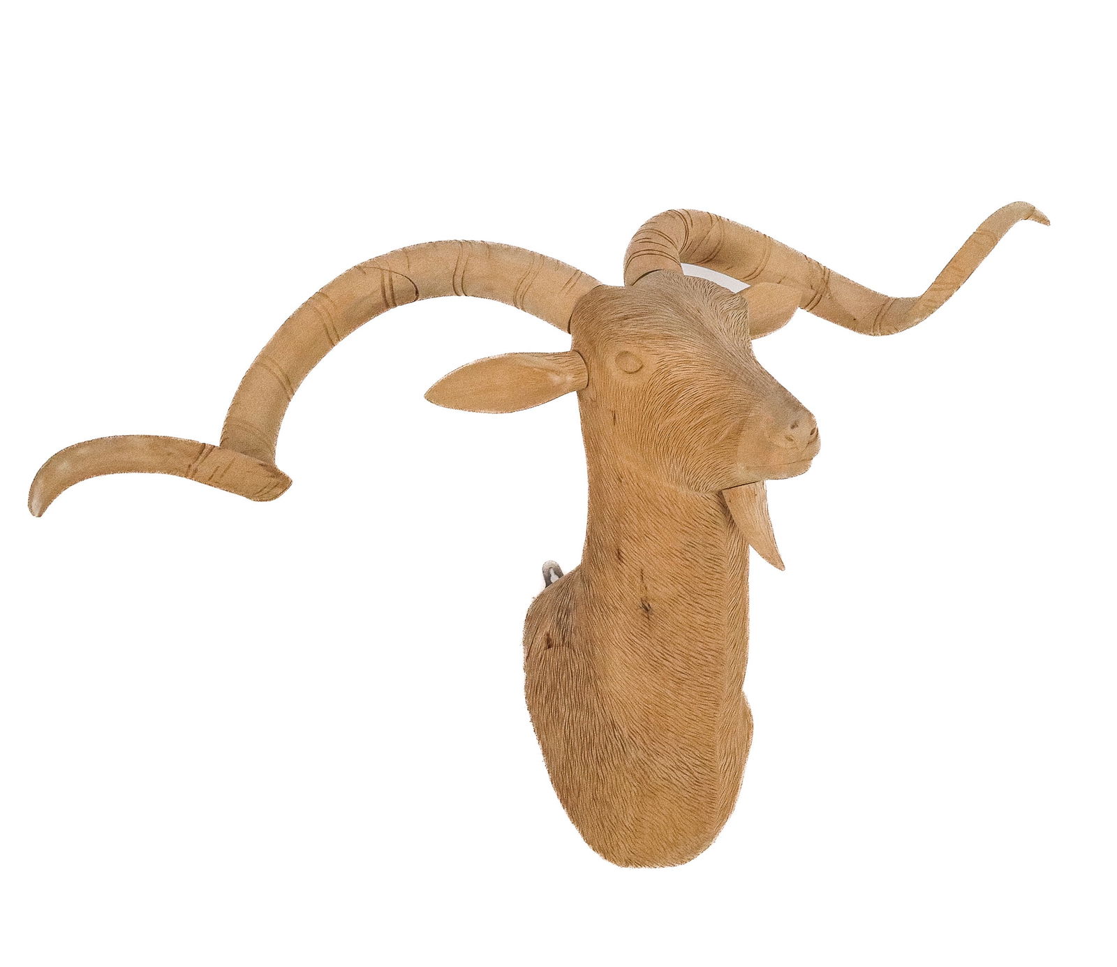 Carved Mango Wood Mount of an Antelope: Carved mango wood mount of an antelope, unmarked. [24" H x 40" W x 20" D]. Condition is good; horns adjustable.