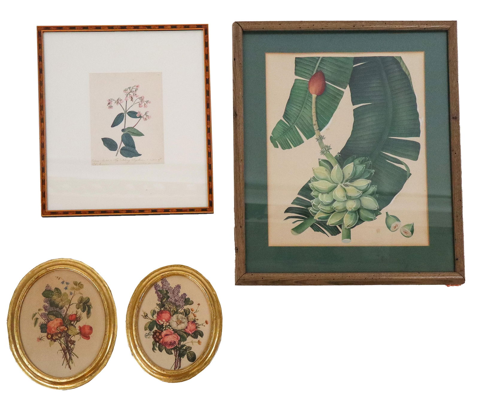 Group of Botanical Prints (1 of 11)