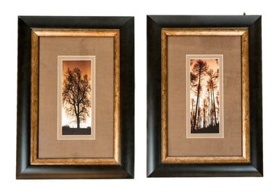 Pair of Framed Photographs of Trees