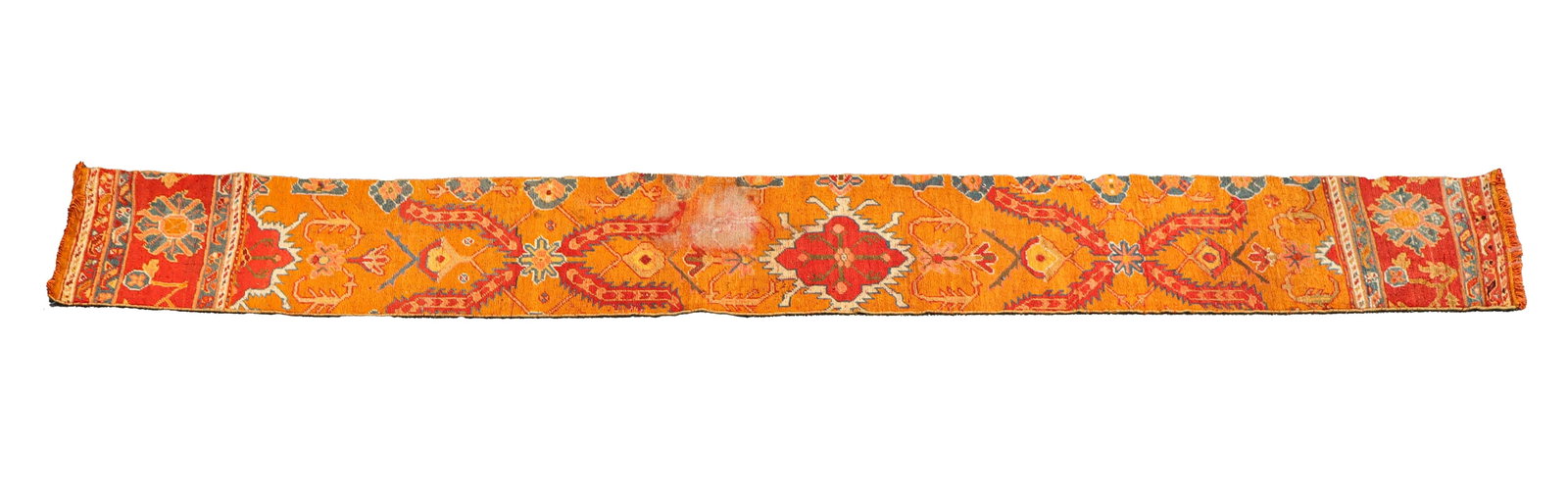 Portuguese Fragment Runner (1 of 9)