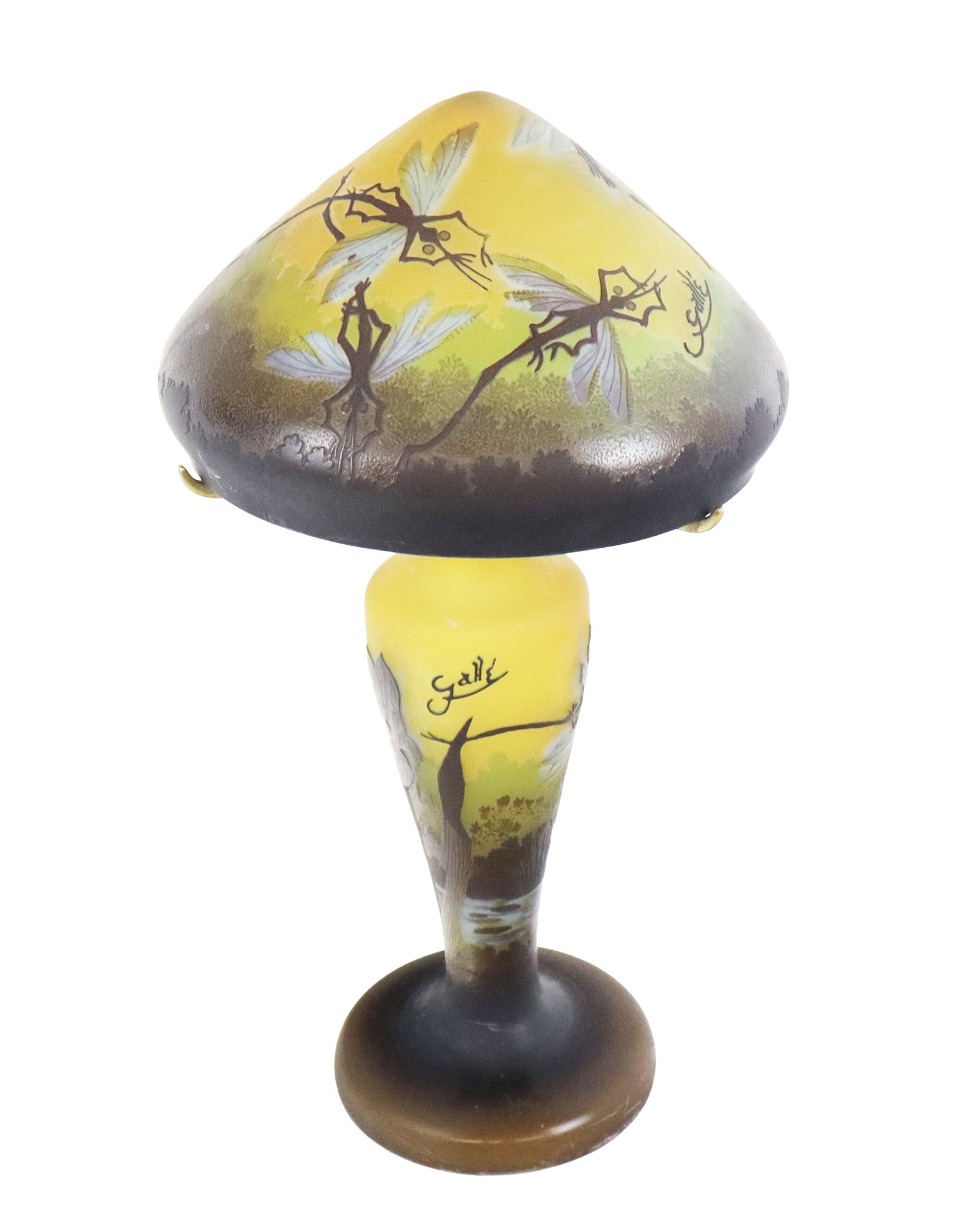 After Galle Acid Etched Lamp with Insects: After Galle acid etched lamp, 21st century, made in Romania. [15" H x 8.5" Diameter]. Condition is good; wiring untested. From the esteemed collection of Neil Zukerman former owner CFM Gallery.