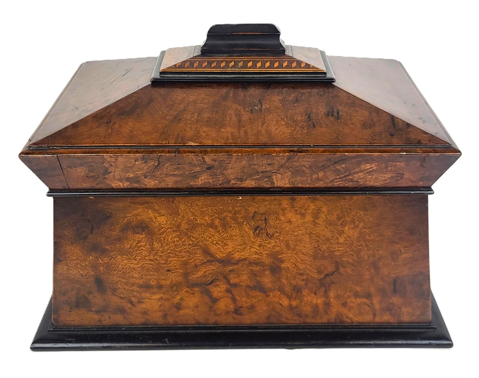 English Burlwood Tea Caddy (1 of 10)