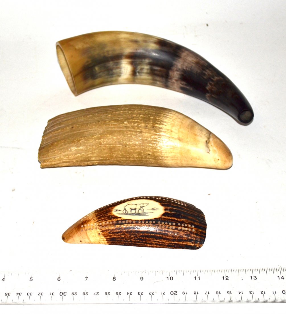 Walrus Tooth Plus Two Others: A walrus tooth, a powder horn, and a scrimshaw with a polar bear tooth. [8"].