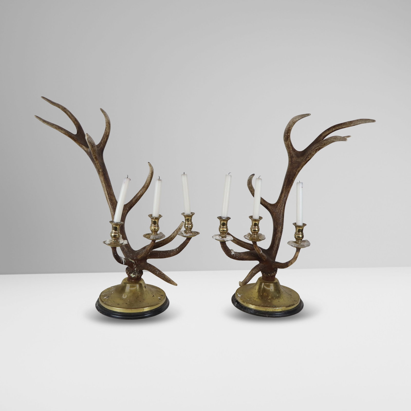 Pair of Antlers Mounted as Candelabra (1 of 12)