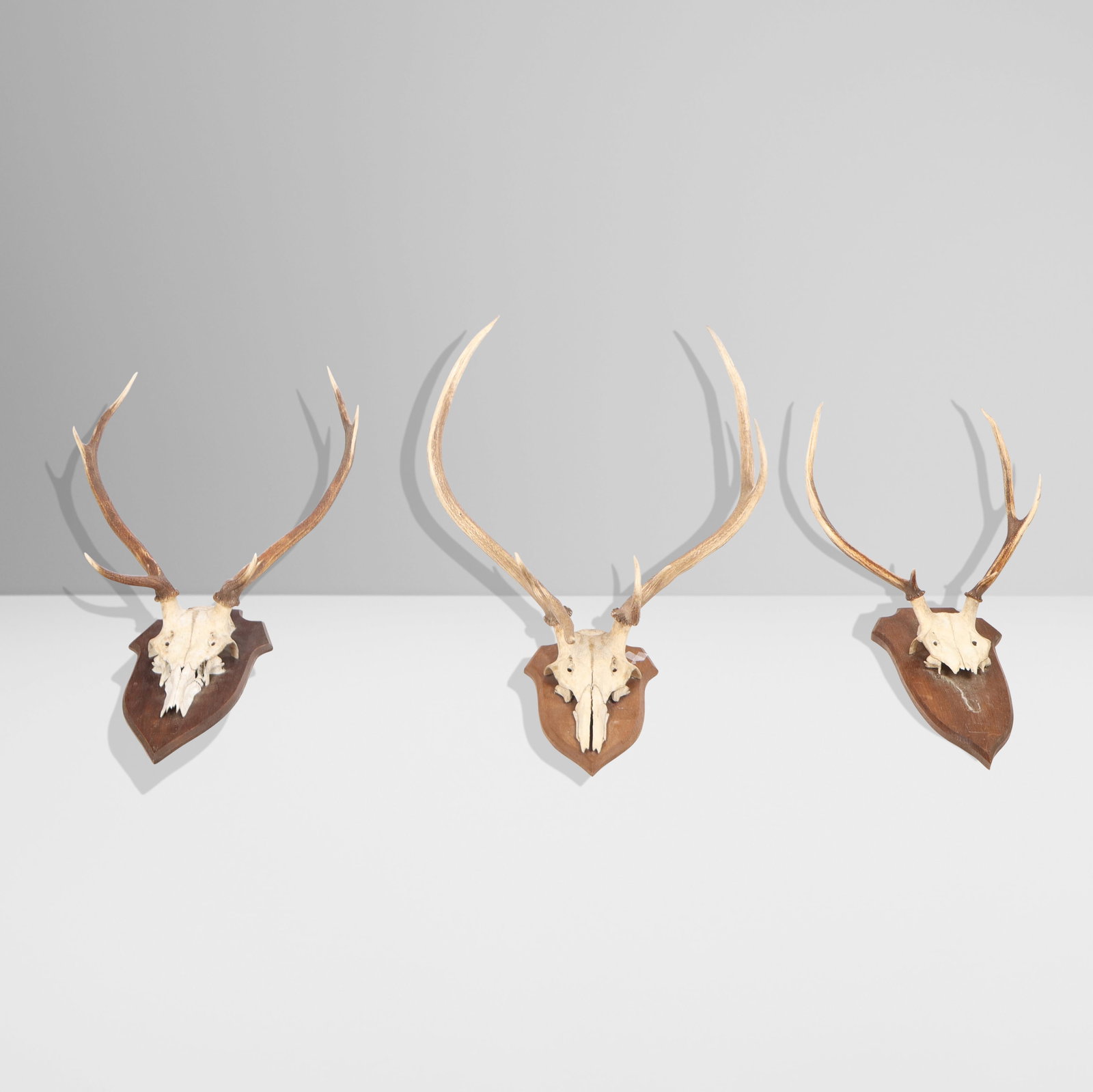 Three Sets of Mounted Deer Antlers (1 of 14)
