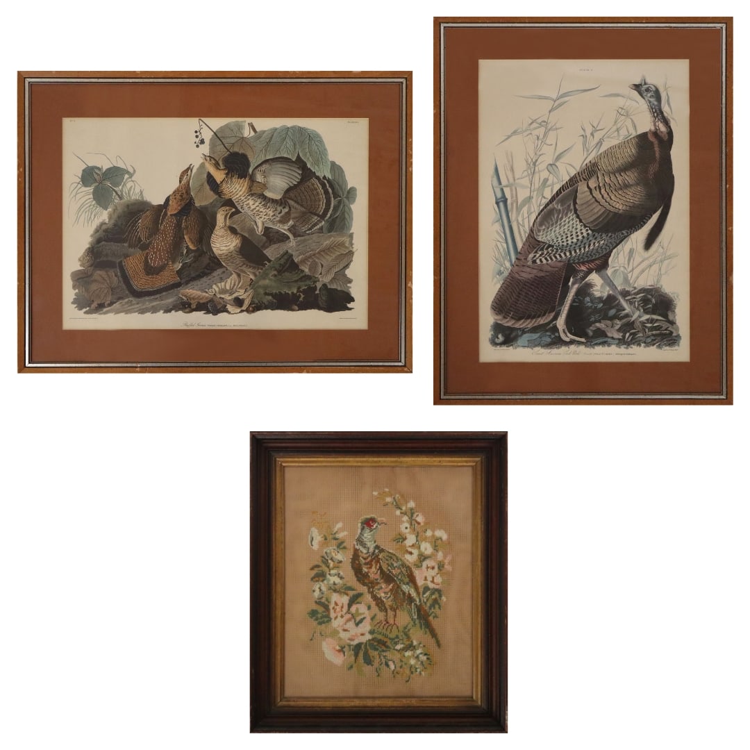 Three Vintage Ornithological Works (1 of 13)