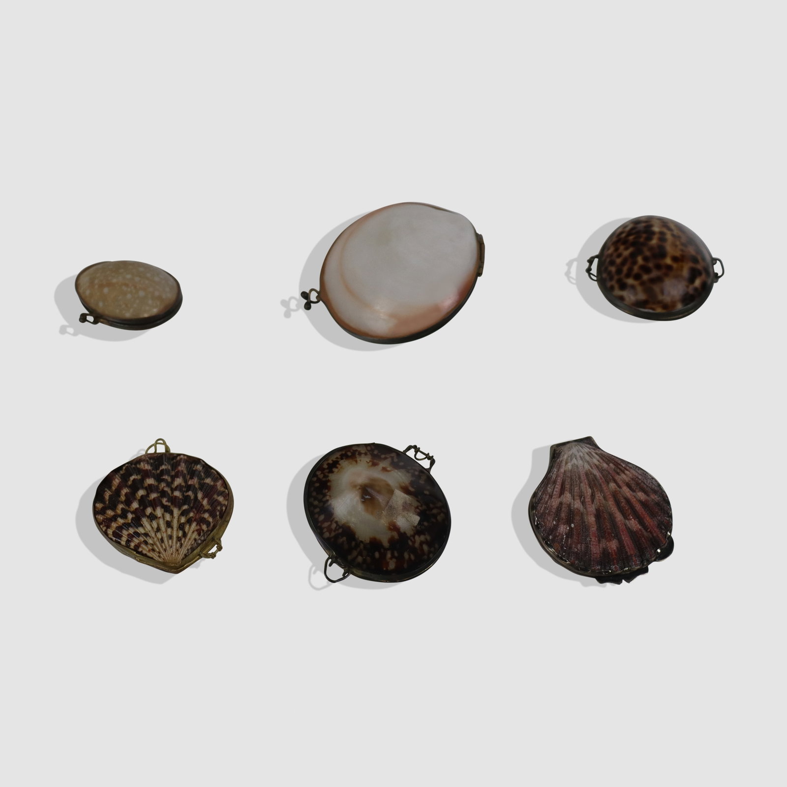 Six Natural Shell Boxes (1 of 16)
