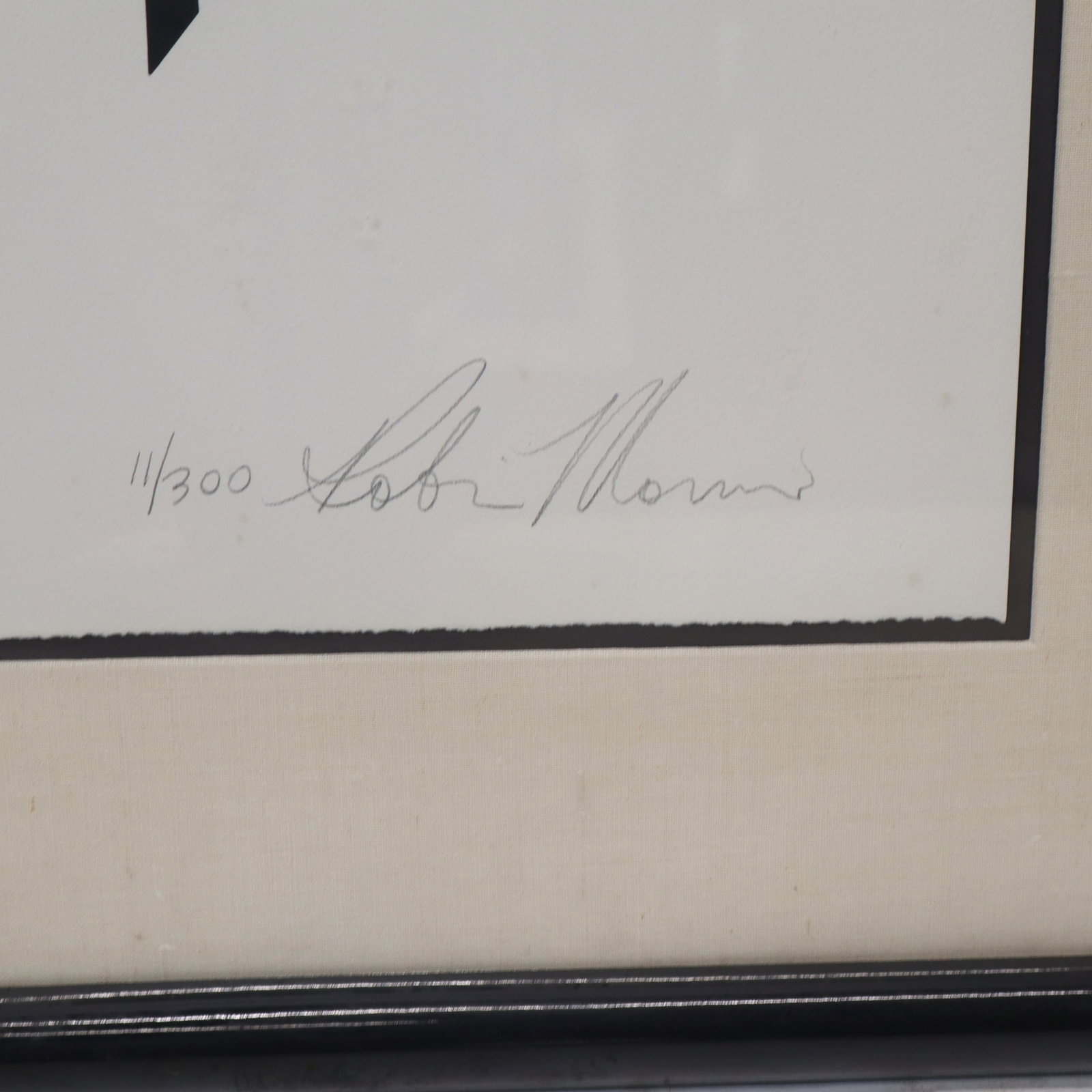 Robin MORRIS Lithograph - Closeup - 4
