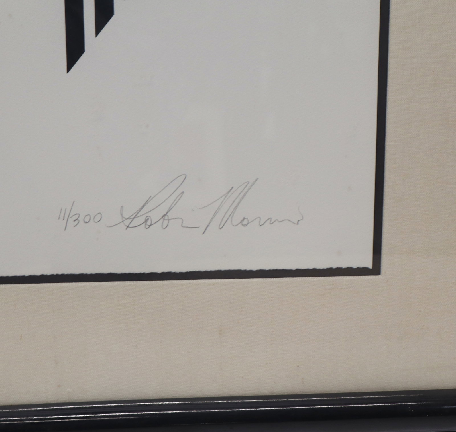 Robin MORRIS Lithograph - Closeup - 8