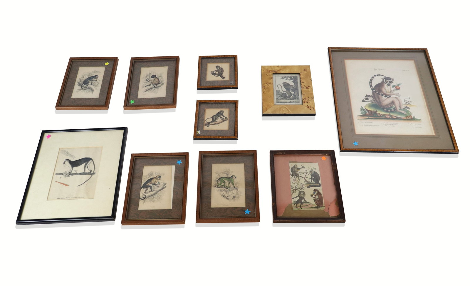 Ten Primate Related Etchings (1 of 17)