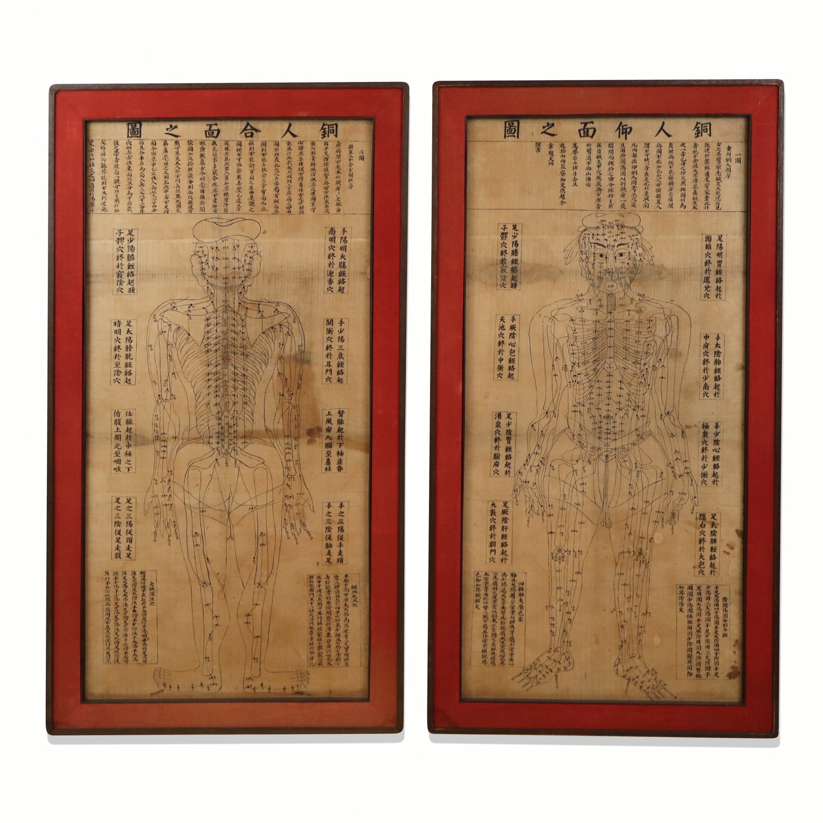 Two Chinese Acupuncture Chart Woodblock Prints: Two Chinese acupuncture chart woodblock prints, likely early 20th century, the anatomical illustrations including one anterior and one posterior view. [Sight: 50.5" H x 23.75" W; Frames: 56.5" H x
