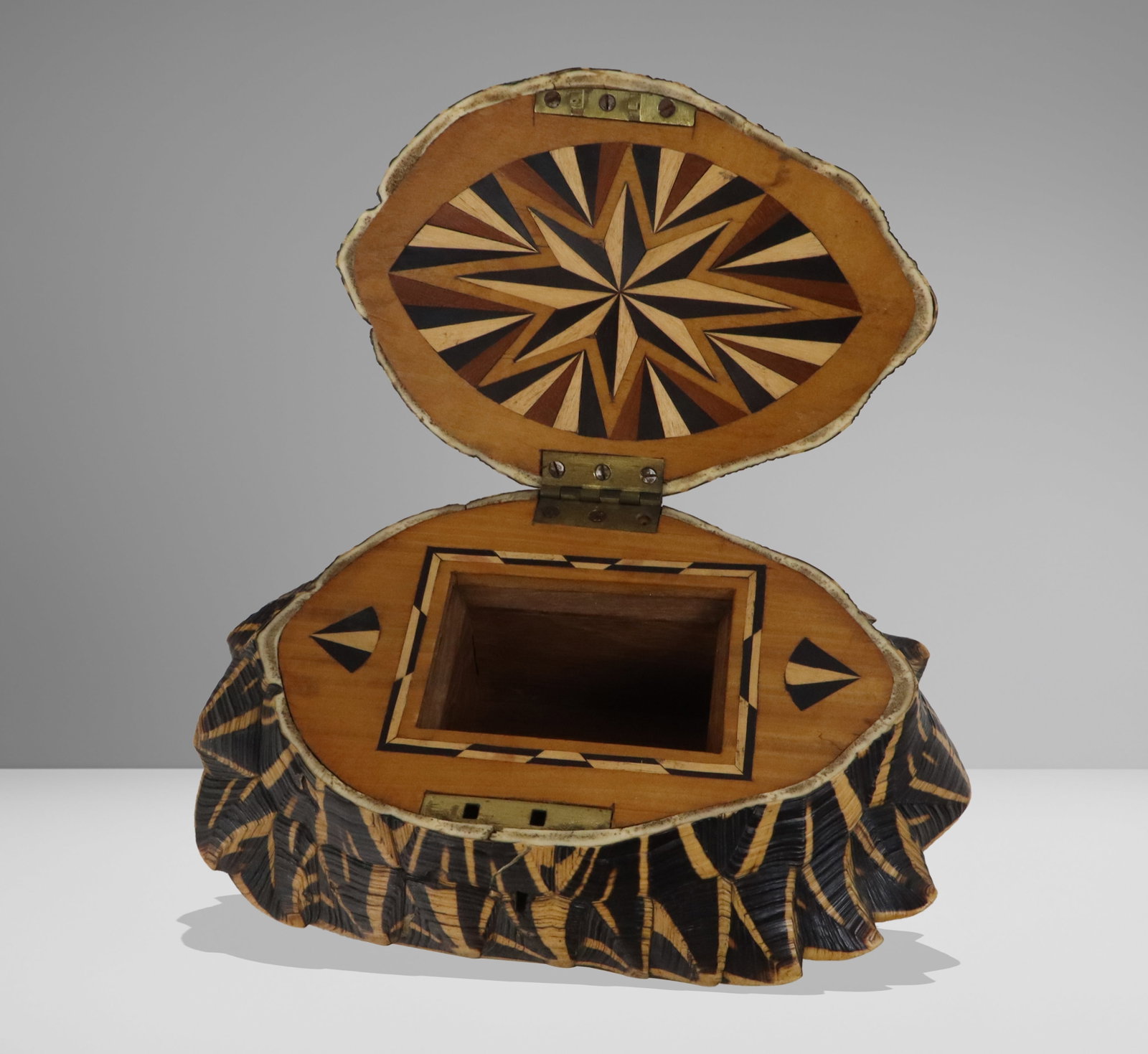 Carved Shell Trinket Box - 3