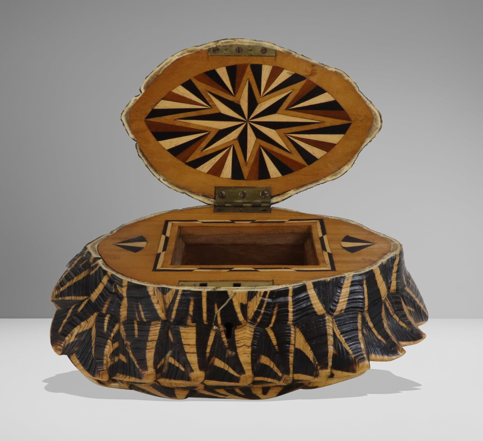 Carved Shell Trinket Box - 4