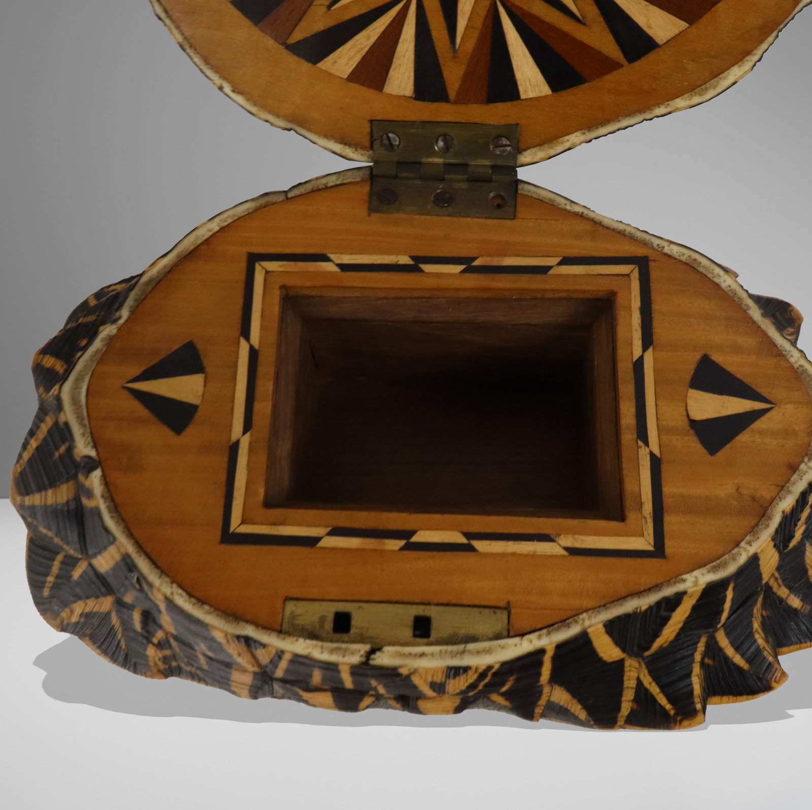 Carved Shell Trinket Box - 5