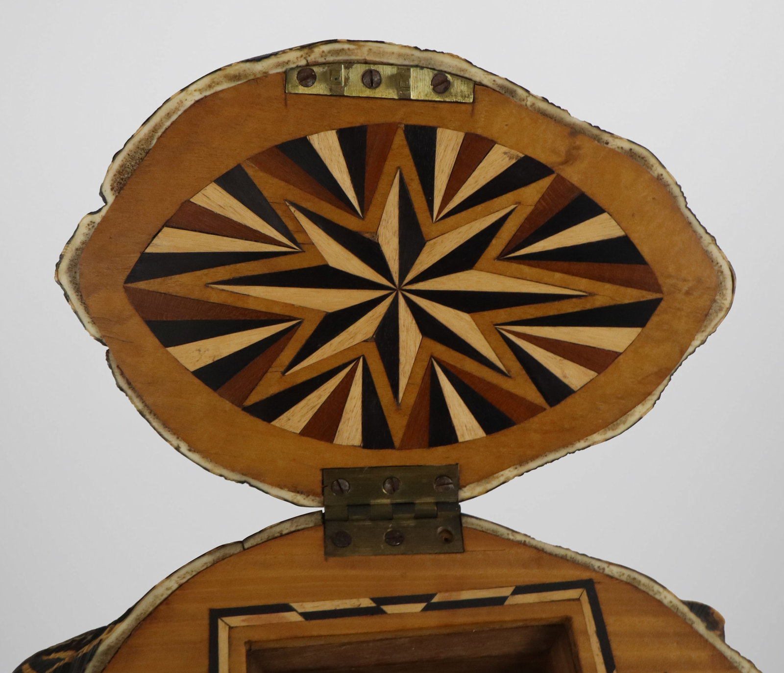 Carved Shell Trinket Box - 6