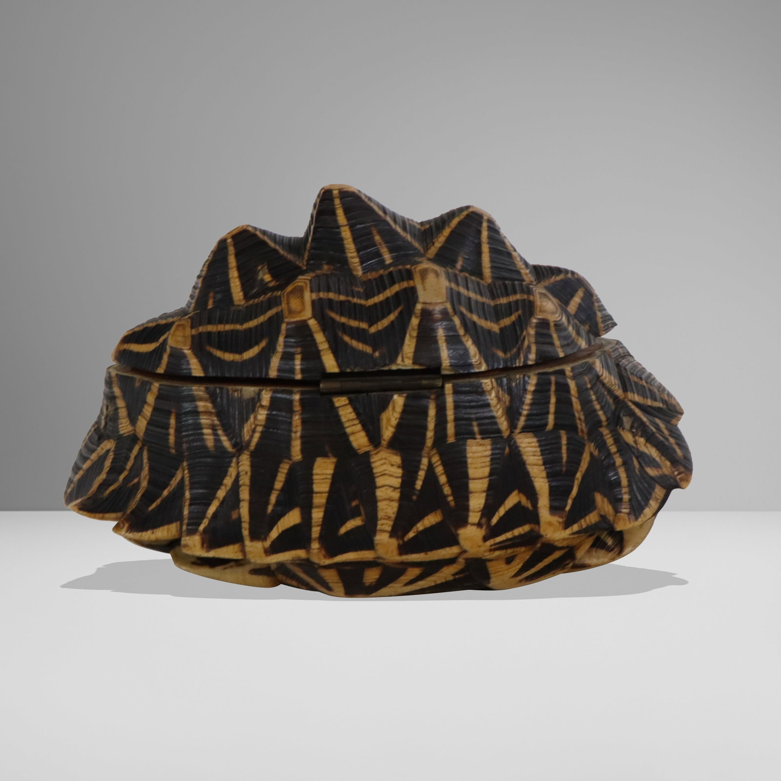 Carved Shell Trinket Box - 8