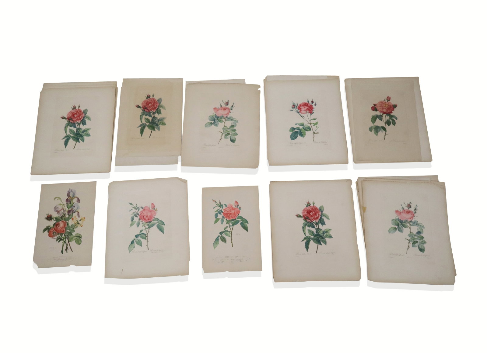 Partial Set of Etching Plates of China (1 of 12)
