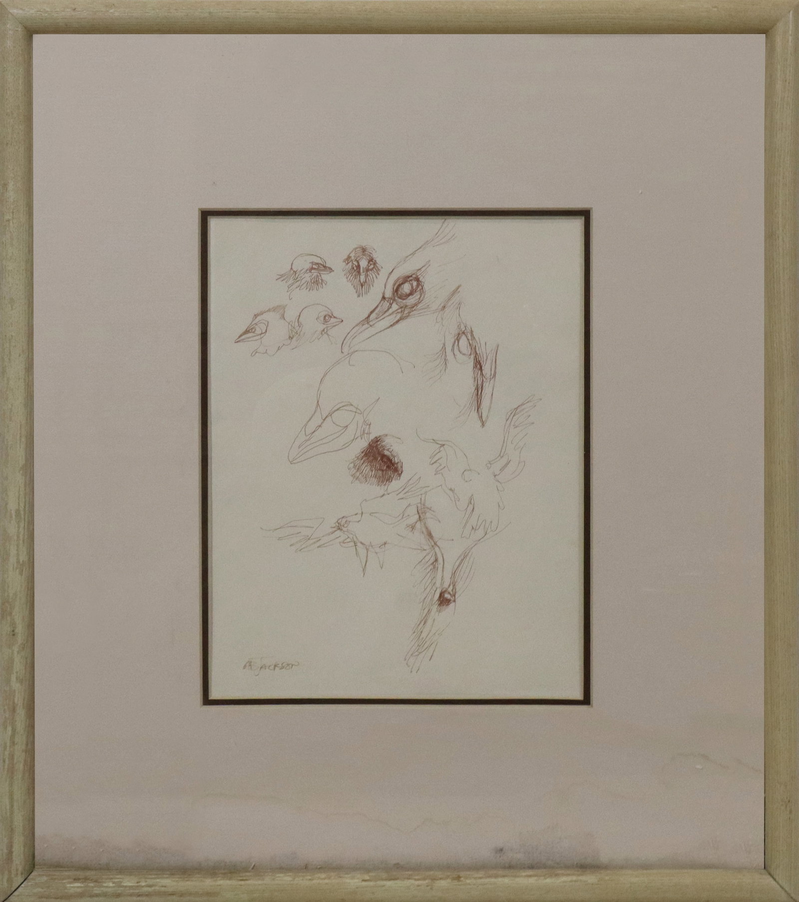 A. B. JACKSON Ink Bird Study: Alexander Brooks Jackson (American, 1925-1981) ink on paper study of birds, signed lower left, matted and framed. [Sight: 10.5" H x 8" W; Frame: 19.5" H x 17.25" W]. Drawing in good condition with lig