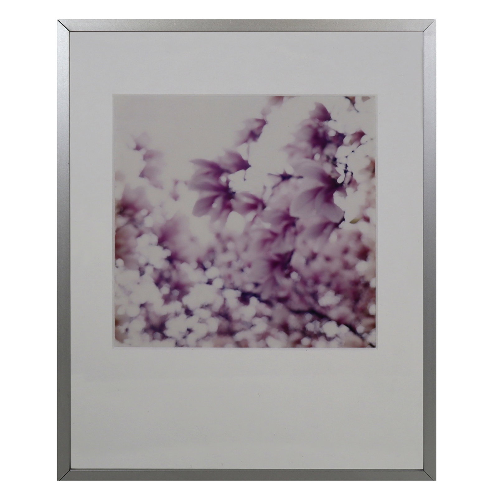 Color Photo Print, Cherry Blossoms, 2006: Color photo print of cherry blossom foliage, signed illegibly and inscribed to verso, 2006, matted and framed. [Sight: 7.75" sq.; Frame: 14.25" H x 11.25" W]. Overall condition is very good.