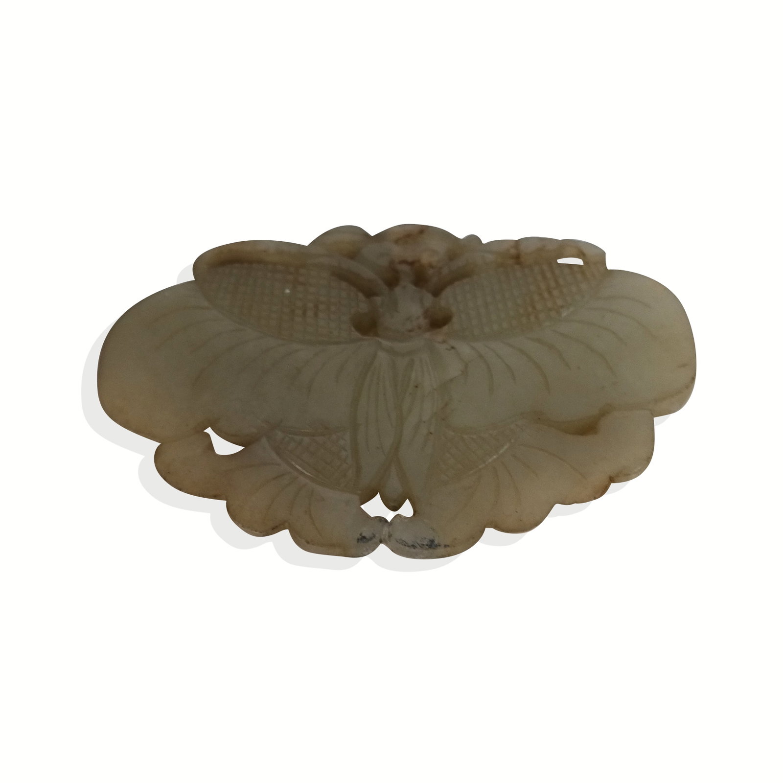 Chinese Carved Jade Cicada Pendant: Chinese carved jade cicada pendant, 19th/20th century. [2" H x 3.25" W]. Condition is good with some wear.