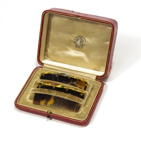 Pair of Victorian Gold Enamel Hair Combs