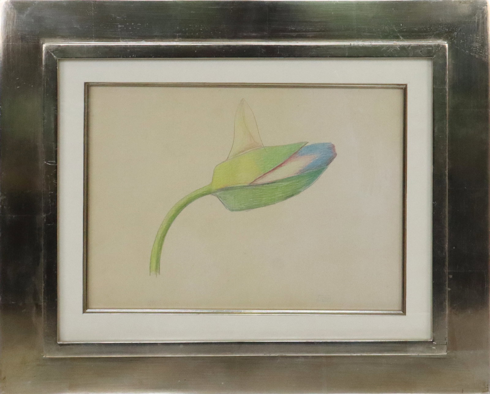 Joseph STELLA Colored Pencil Study of a Tulip Bud (1 of 11)