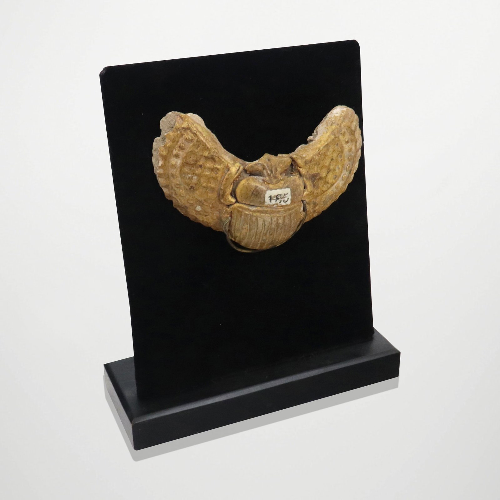 Egyptian Scarab Beetle With Mount (1 of 8)