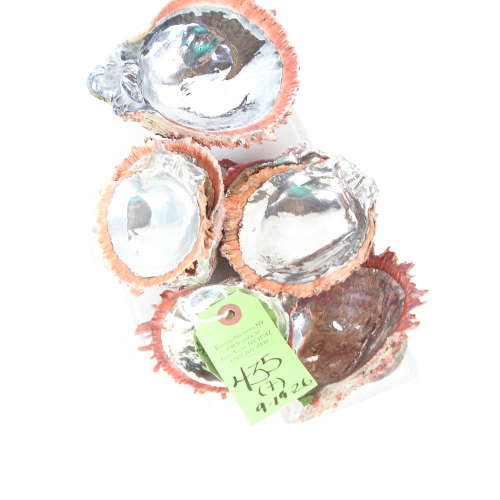 Pallani Sterling Silver & Shell Dish Garnitures, 7: Pallani sterling silver and coral-colored shell overlaid seven piece garniture, largest signed on footed rim. [Largest: 2" H x 5.5" W x 5" D, Smallest: 1" H x 3.5" W x 3.25" D]. Overall condition is g