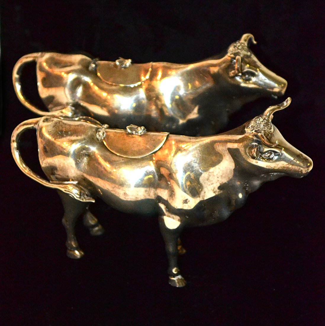 Pair of English Sterling Silver Cow Form Creamers: Both bear maker's mark "E.D." and London hallmarks for the years 1901-1905. Naturalistically sculptured, one with horns up, the other down. [7" x 4 1/2" H]. Approx. 10 1/2 ozt each. Both in good condi