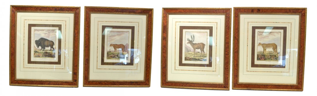 Four Natural History Prints: Each with Atlantic Gallery, Ltd. labels. Published by Cte de Buffon Engr Martinet, Paris, 1785. [18" x 21" overall dimension].