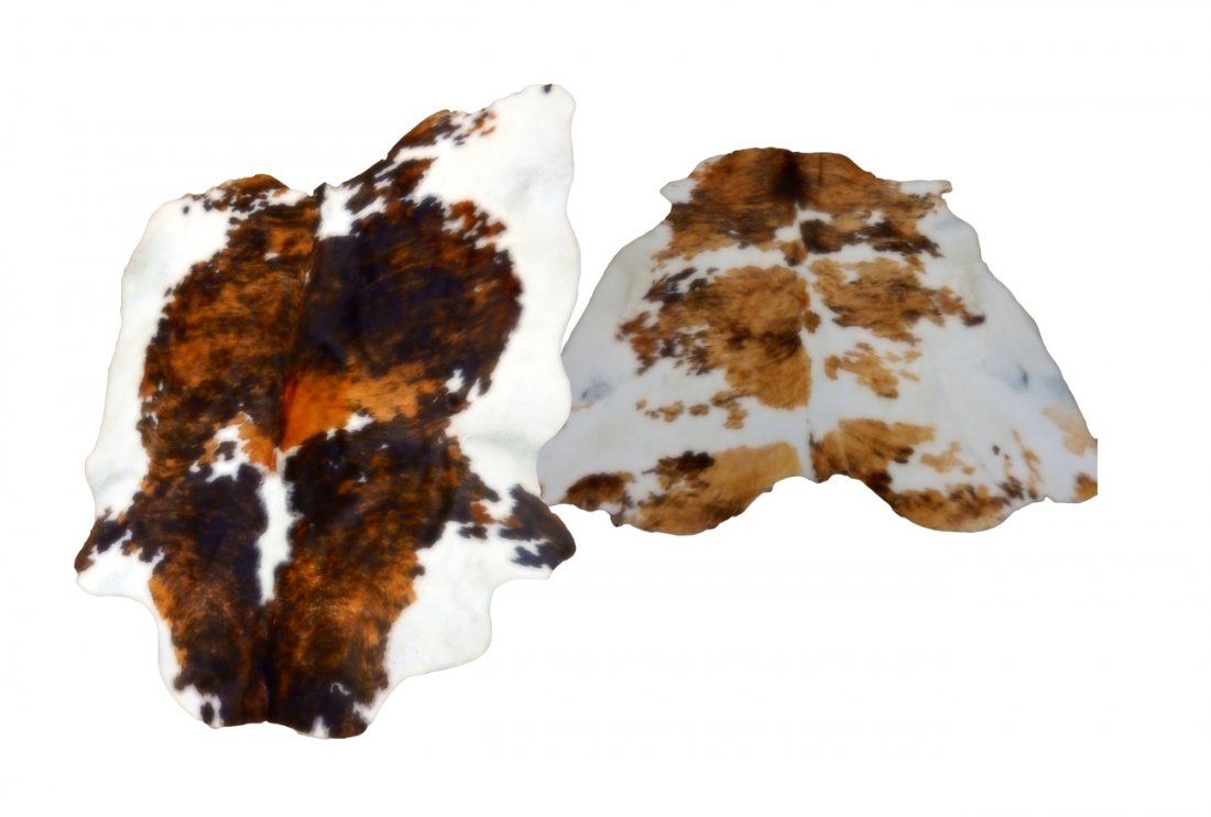 Pair of Cowhide Rugs: Pair of cowhide rugs with suede backing, white background with brown and sable accents. [Largest: 92" L x 74" W]. Some wear, soil, minor ink stains.