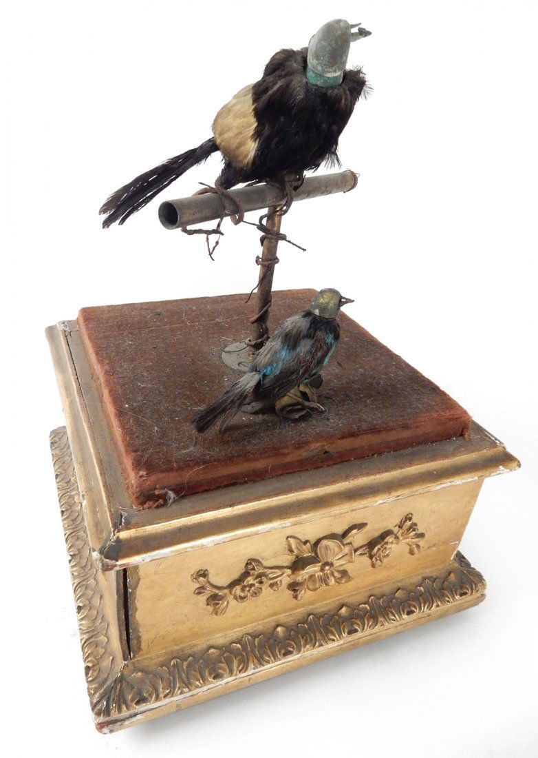 Victorian Automaton Birds: Victorian automaton birds. Two birds on a gilt-gesso square wood base. [9 1/2" W x 9 1/2" x 12 3/4" H]. Non-functioning, damaged, missing dome.