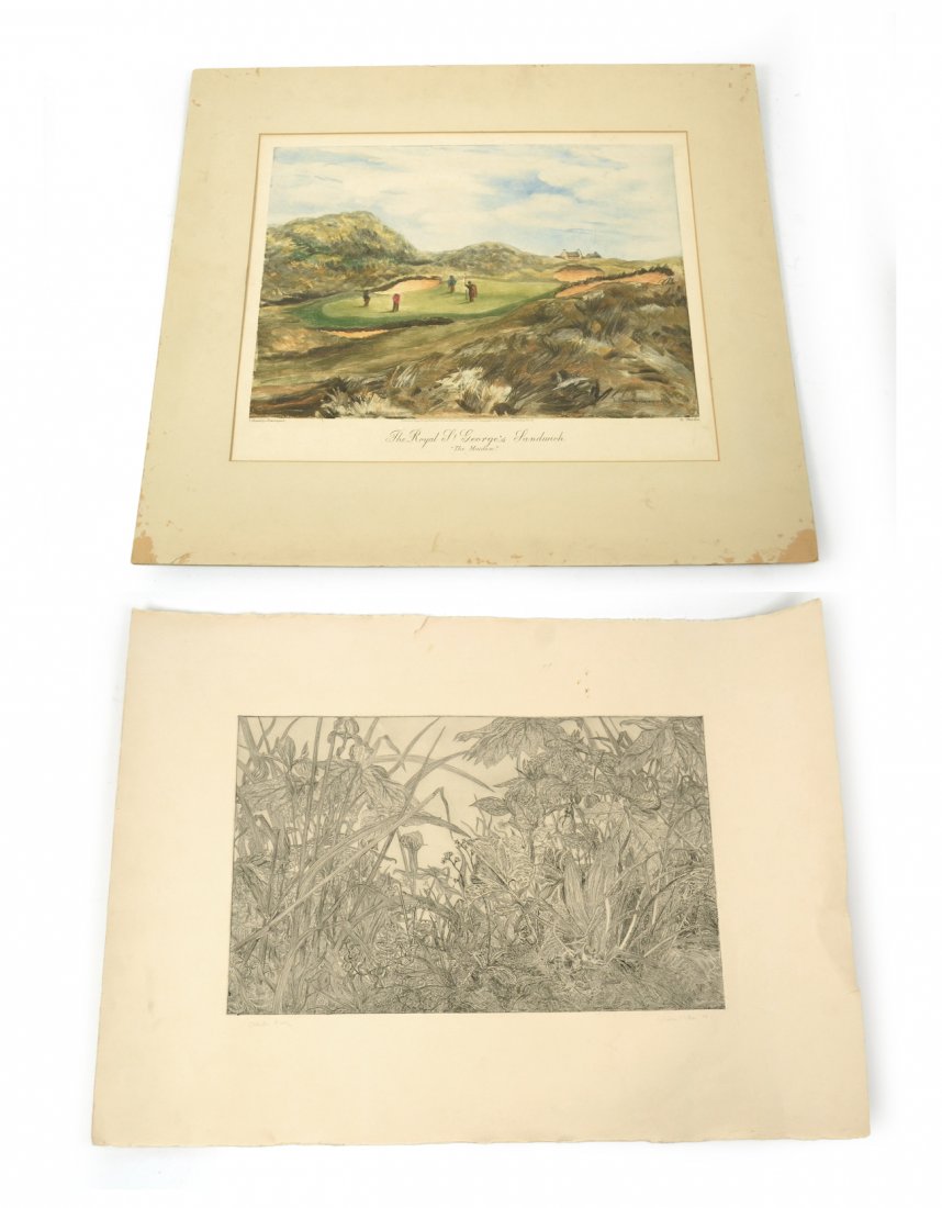 2 Works - Matia, Bromley-Davenport: Comprises: 1.) Walter Matia, etching on archers paper of a stylized nature study of floral vegetation. Signed and inscribed in bottom margin "Artists Proof Walter Matia '74". [Art: 12 1/2" x 19 3/4 on