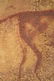 Kabo, Cave Painting Reproduction - 4