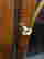 item-35020033=3