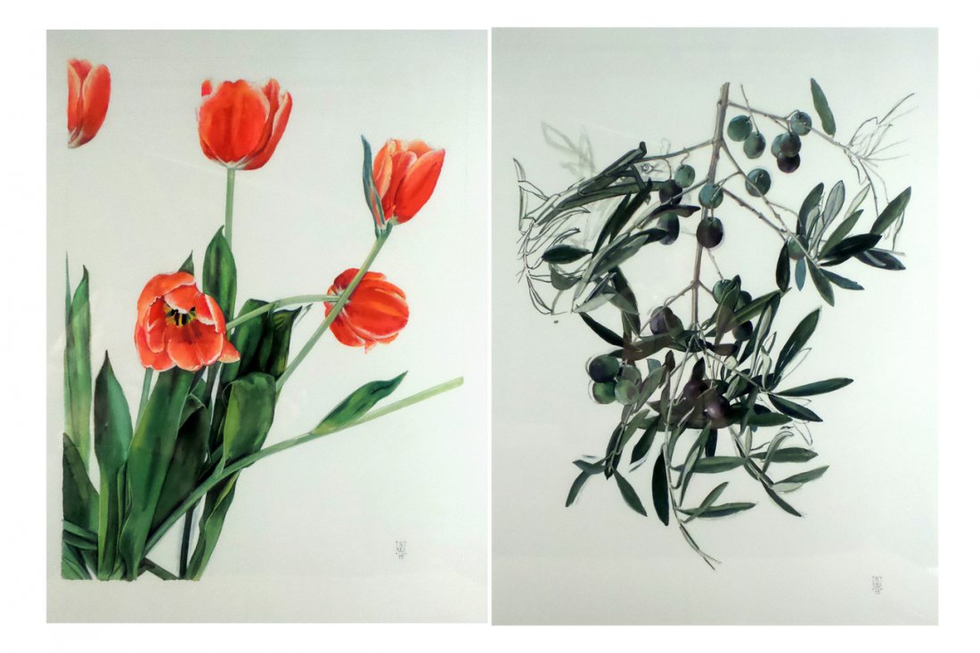 Pair of Framed Botanical Prints (1 of 3)