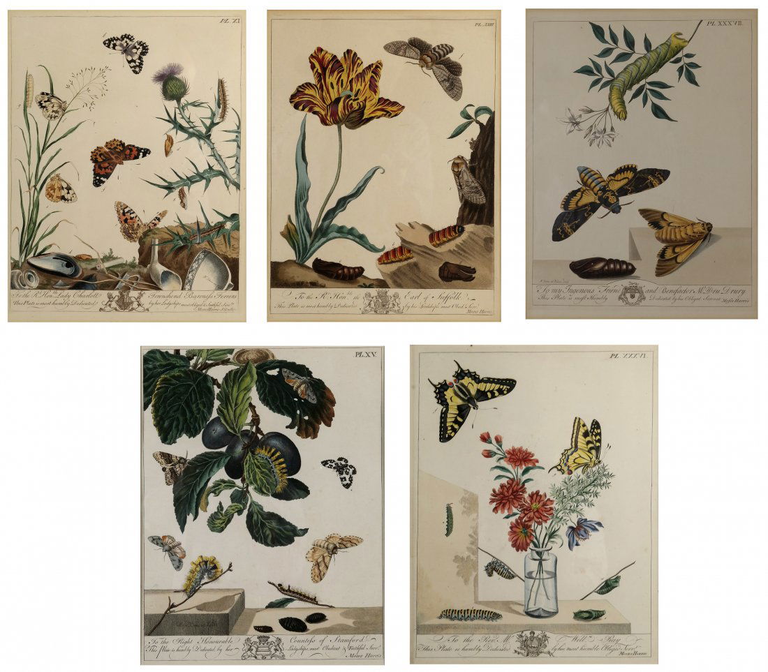 Moses Harris, Five Decorated Prints (1 of 10)