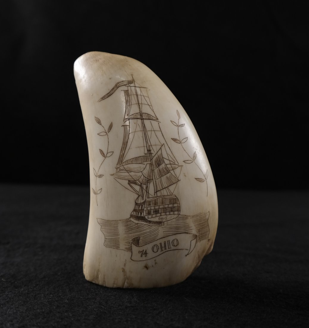 Whale Tooth Scrimshaw "Ohio": Whale tooth scrimshaw inscribed "74 Ohio" and sailing ship. [5" x 3"]. In good condition.