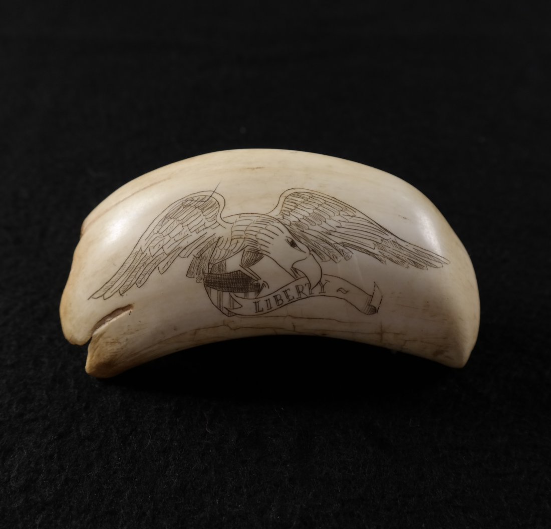 Whale Tooth Scrimshaw "Liberty" Eagle: Whale tooth scrimshaw inscribed "Liberty" and bald eagle with shield. [4 1/2" x 2 1/4"]. In good condition.