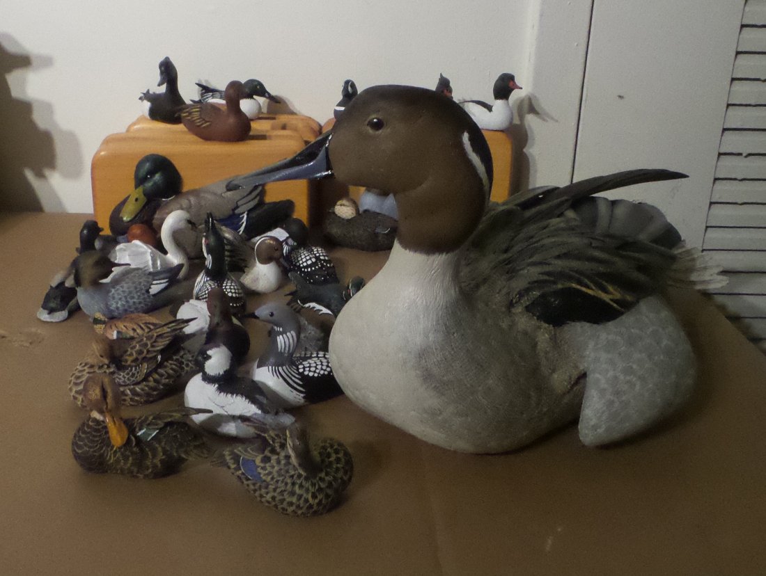 Collection of Decorative Ducks (1 of 4)